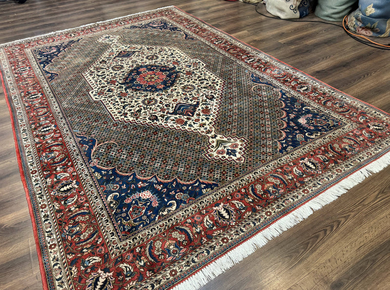 Persian Rug 7x10, Bakhtiari Saman Rug, Unique Design and Colors, Ivory Red Blue, Large Tribal Rug by Jewel Rugs