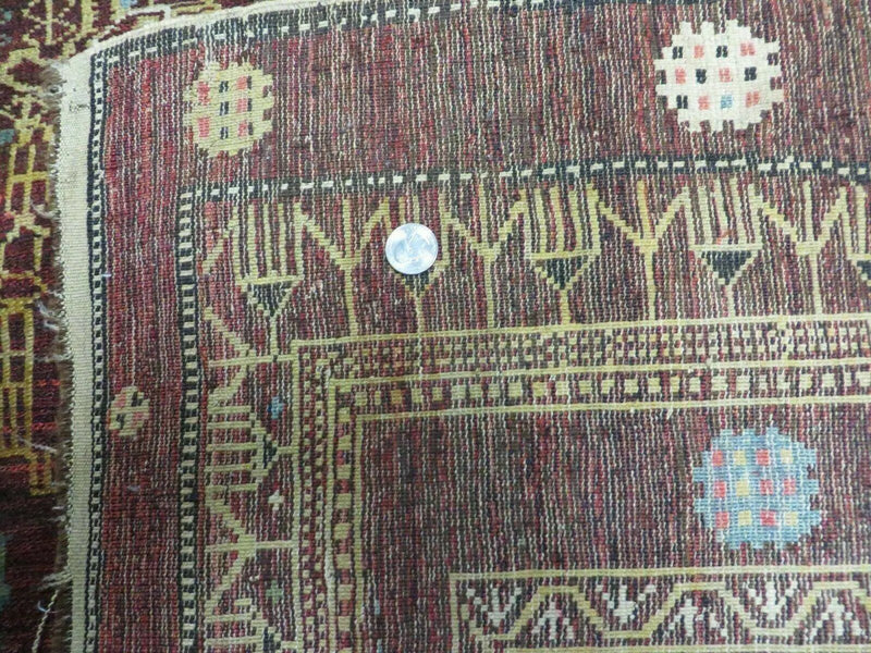 4' X 6' Antique Handmade Caucasian Shirvan Russian Armenian Wool Rug Colorful by Jewel Rugs