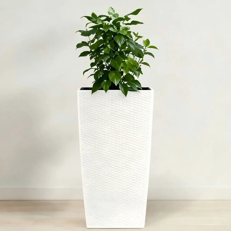Indoor Outdoor Planter With Automatic Watering System by HouseOfZazla