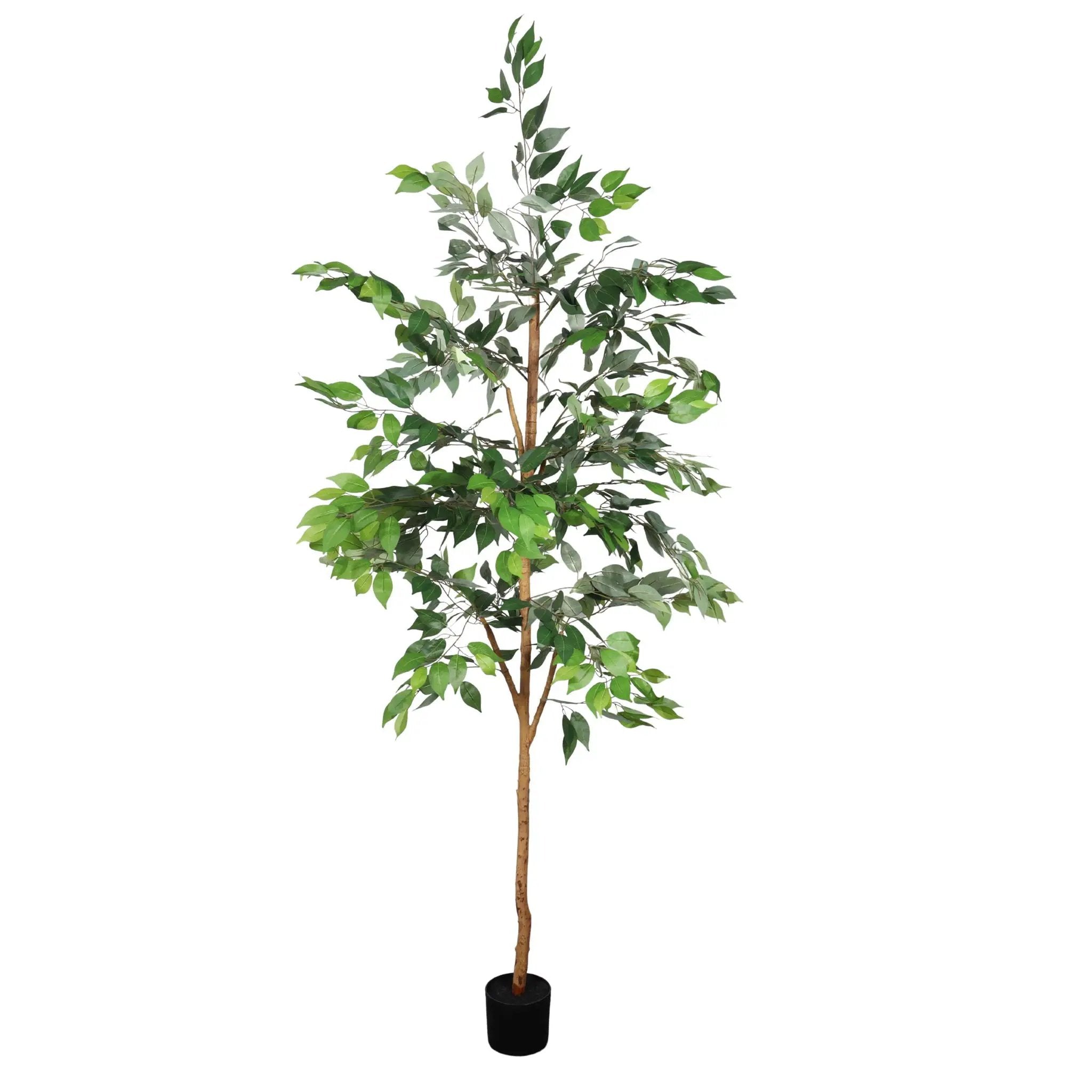 6Ft Artificial Ficus Tree With Natural Trunk In Pot For Indoor Home Office Decor - Green Leaves by Unique Piece Furniture