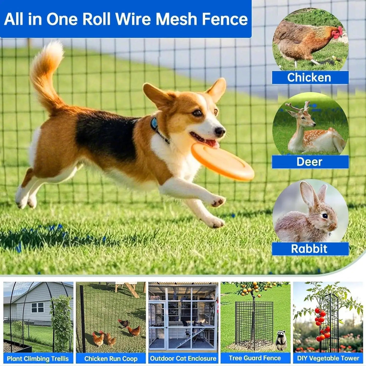 Vinyl-Coated Metal Welded Wire Fence for Poultry Cage Protection by HouseOfZazla
