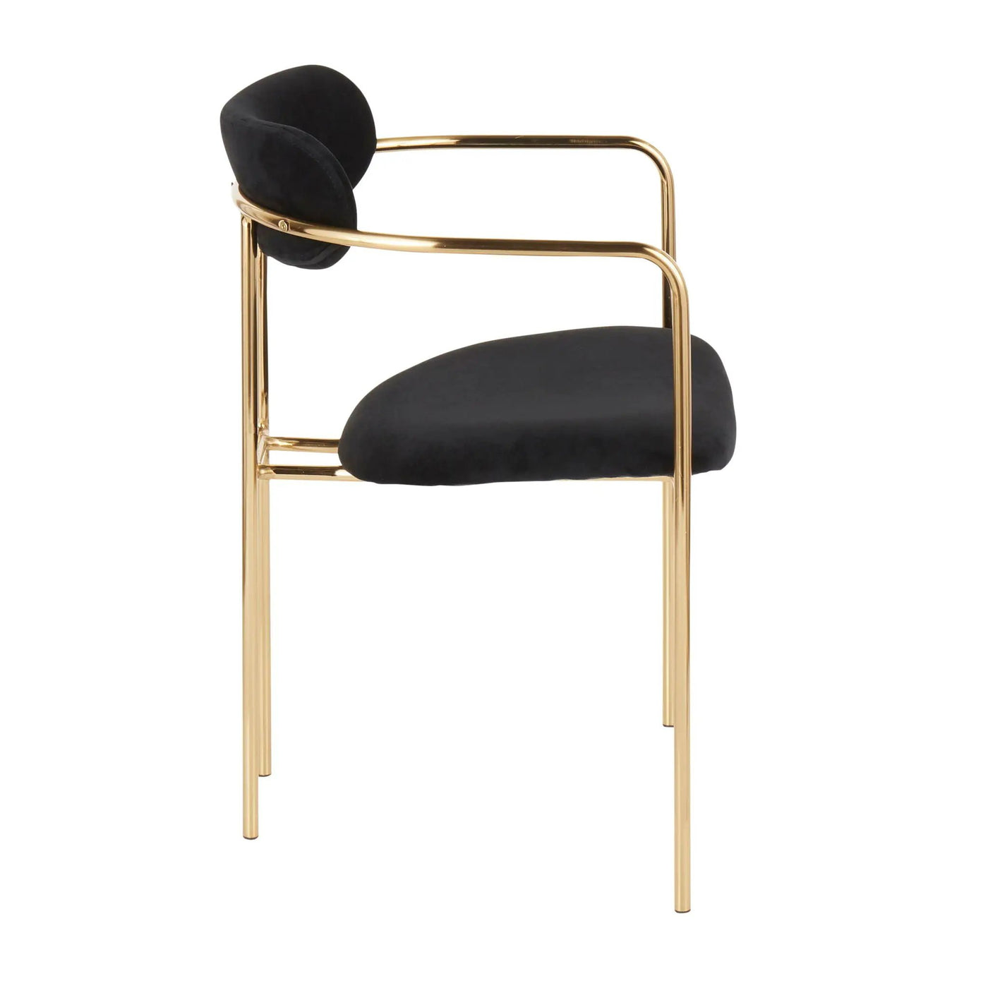 Demi - Contemporary Chair (Set of 2) by HouseOfZazla