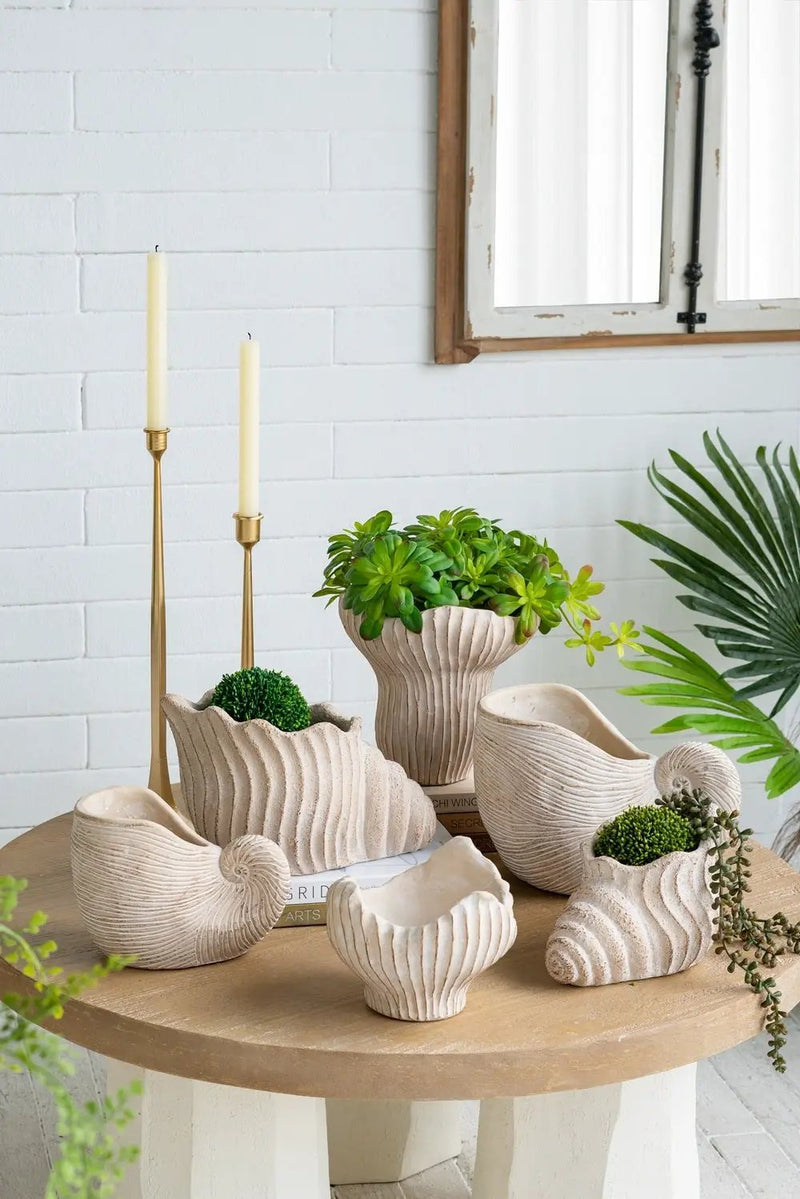 11.5x6.7x7.7" Sand and Cement Nautilus Shell Planter with Textured Beige Finish by HouseOfZazla