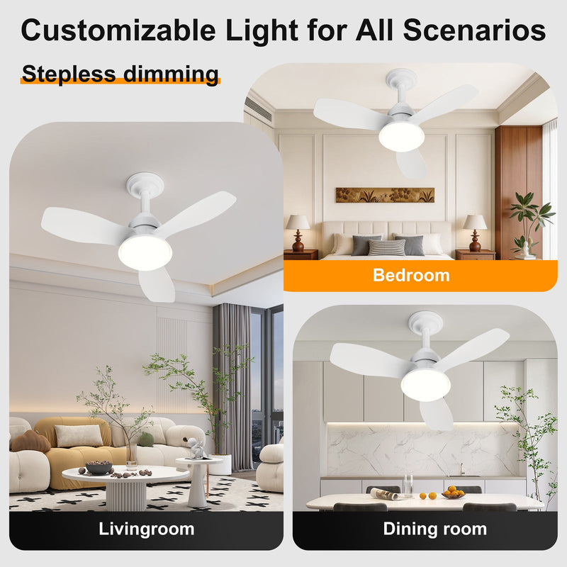 24.4" Modern Ceiling Fan with Light by HouseOfZazla