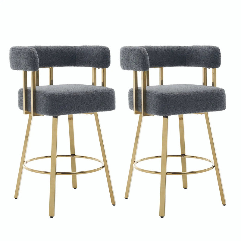 Decorative Upholstered Side Chair For Living Room (Set of 2) by HouseOfZazla