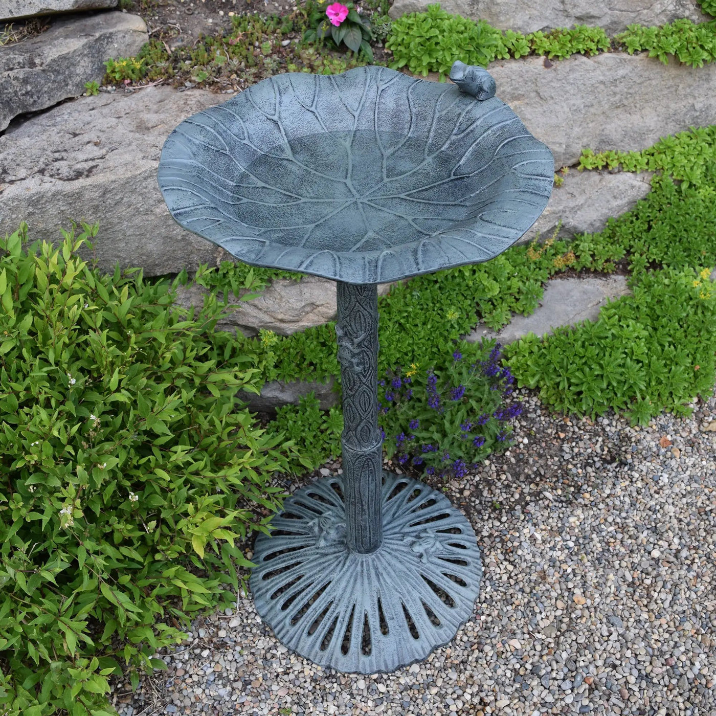 Round Cast Aluminum Metal 35-in Frog Bird Bath with Leaf Bowl by Sharicks