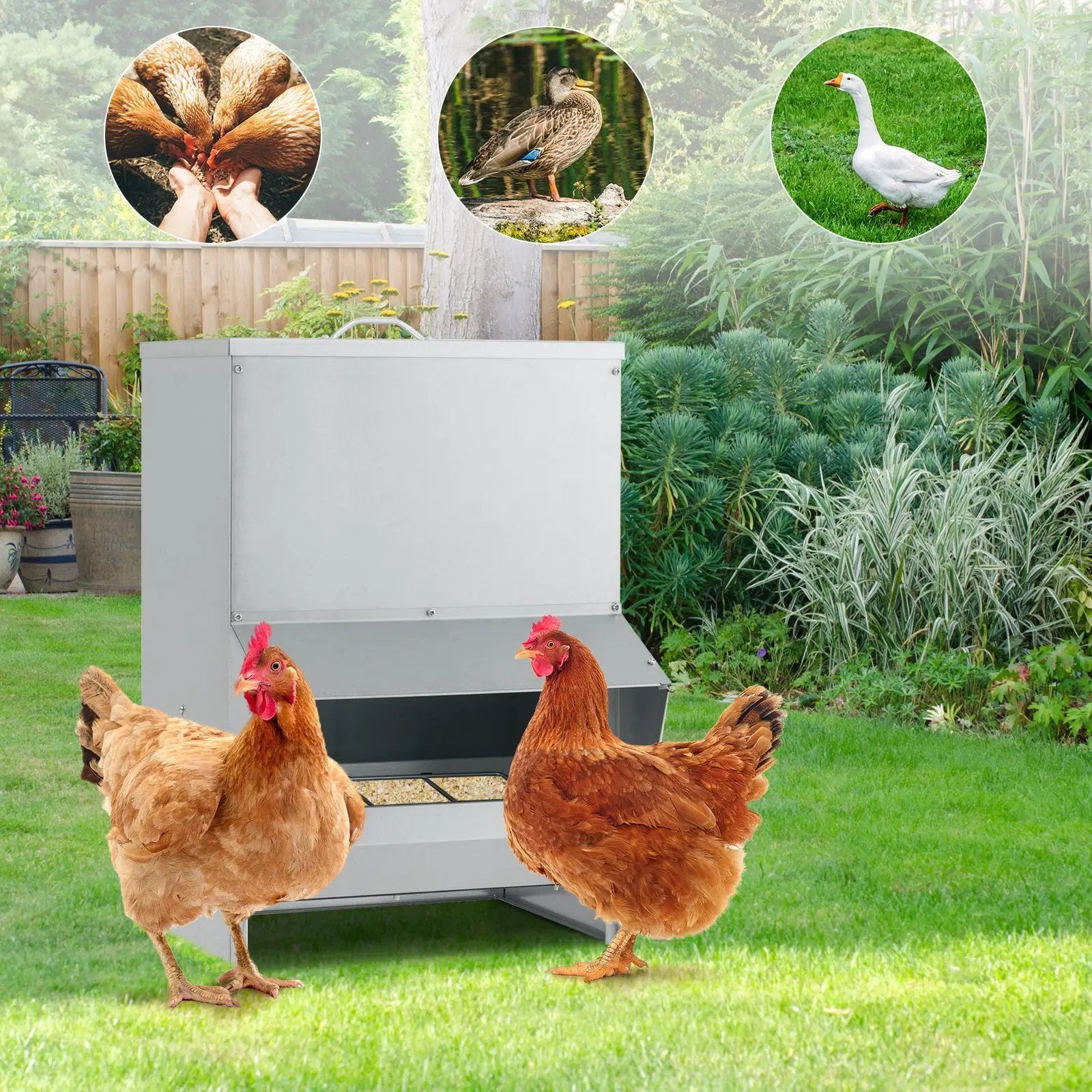 Wall Mount Galvanized Chicken Feeder 50 Pounds Capacity-Silver by DirectDeals