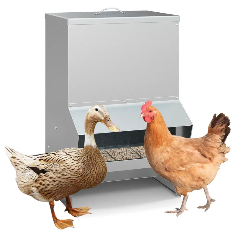 Wall Mount Galvanized Chicken Feeder 50 Pounds Capacity-Silver by DirectDeals