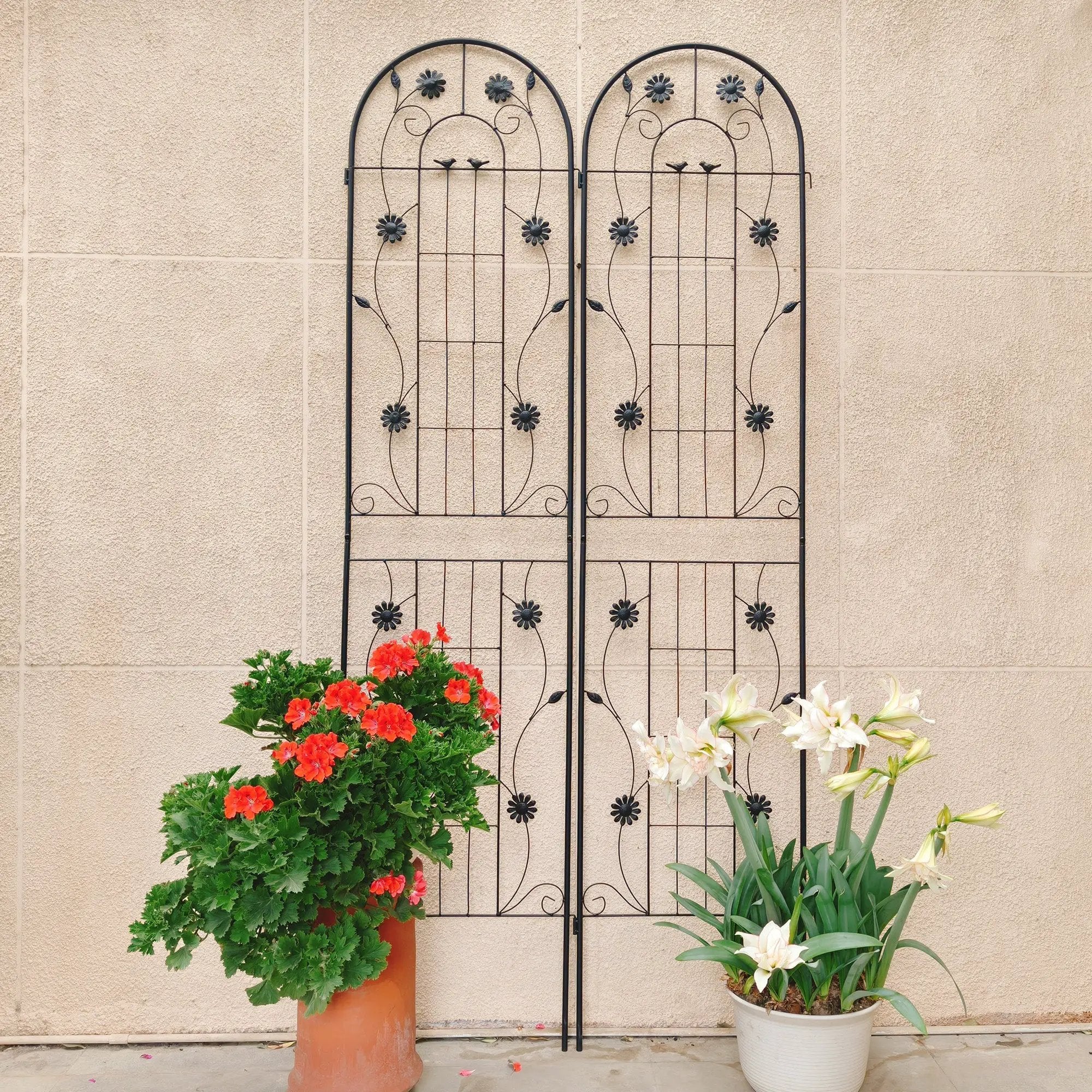 2 Pack Metal Garden Trellis 86.7" x 19.7" Rustproof Trellis for Climbing Plants by HouseOfZazla