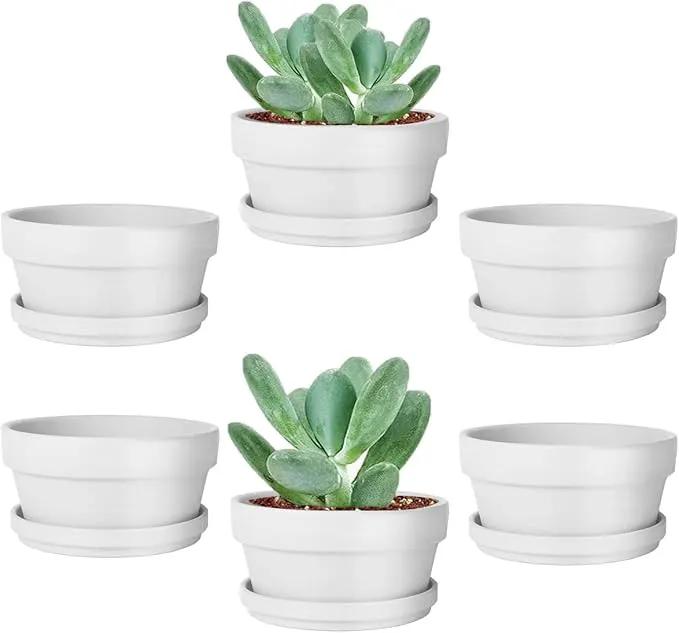 vensovo 3.7 Inch White Terracotta Shallow Succulent Pots - 6 Pack Terra Cotta Clay Pot with Saucer, Cacuts Indoor and Outdoor Planters with Drainage Hole by GreenHaven Gardens