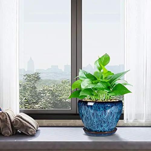 Ceramic Modern Glaze Succulent Planter Pot with Drainage Hole and Saucer 6 Inch Round Flower Plant Pot for Indoor Outdoor Herb Snake Plants by GreenHaven Gardens
