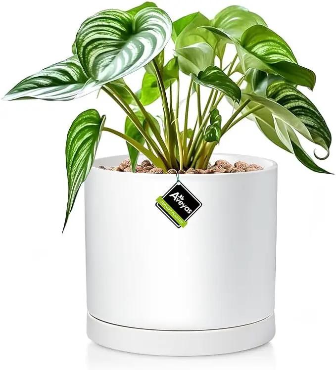 Aveyas 8 inch Ceramic Plant Pot with Drainage Hole and Saucer - Suitable for Indoor and Outdoor Use, Modern Planters for House Garden Flower Tree Snake Monstera Plants (8", Matte White) by GreenHaven Gardens