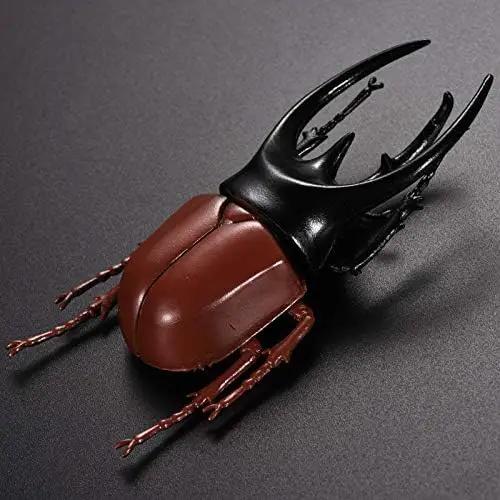 Hiawbon 5.5 inch Fake Beetle Simulated Beetle Model Realistic Plastic Beetle Figures for Fairy Garden Decoration, Set of 6 by GreenHaven Gardens