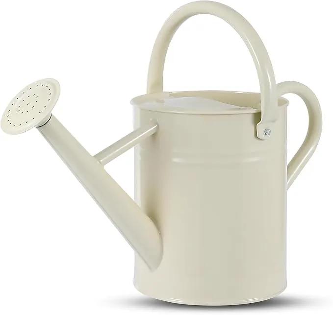 1 Gallon Watering Can for Plants, Watering Cans for Indoor&Outdoor Gardening, Galvanized Steel Watering Pot with Removable Spout, Metal Water Can with Ergonomic Movable Handle(White) by GreenHaven Gardens