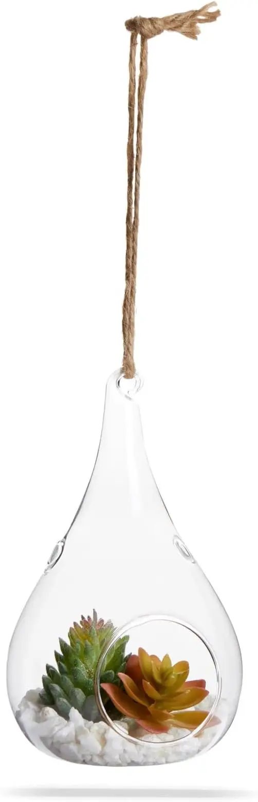 Juvale 5-Pack Hanging Glass Terrarium Containers - Air Plant Holder, Succulent Planter, Tea Light Candle Hangers (3.5x5 in) by GreenHaven Gardens