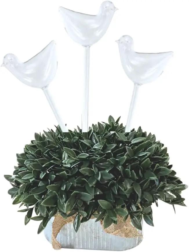 Evelots Plant Self Watering Glass Globes, Bird Shaped Bulbs (4 Pack) Automatic Water Irrigation System for Plants with Funnel, Indoor & Outdoor Use -Extra Long 9.5 Inches by GreenHaven Gardens