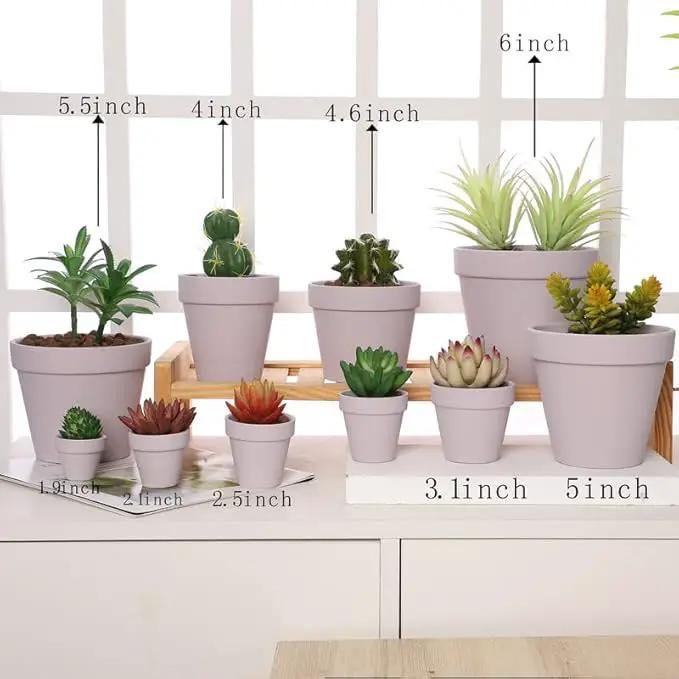 Yishang 72 pcs Small Mini Pink Clay Pots, 2.5'' Terracotta Pot Clay Ceramic Pottery Planter,Cactus Flower Terra Cotta Pots,Succulents Nursery Pots,with Drainage Hole,Great for Crafts,Wedding Favor by GreenHaven Gardens