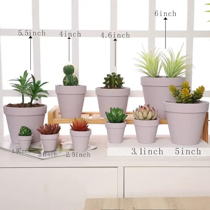 Yishang 36 pcs Small Mini Pink Clay Pots, 2.5'' Terracotta Pot Clay Ceramic Pottery Planter,Cactus Flower Terra Cotta Pots,Succulents Nursery Pots,with Drainage Hole,Great for Crafts,Wedding Favor by GreenHaven Gardens