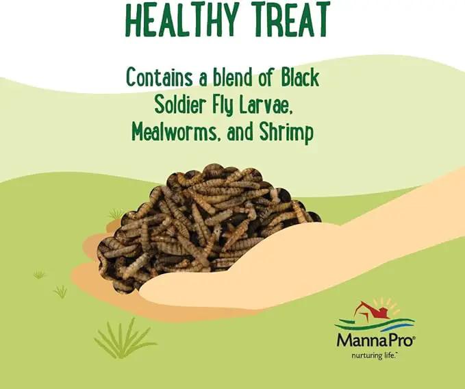 Manna Pro Farmhouse Favorites Critter Combo Crunch Bug Jug – Engaging Poultry Treat – Blend of Black Solider Fly Larvae, Mealworms & Shrimp – Great Source of Protein – Encourages Foraging – 25oz by GreenHaven Gardens