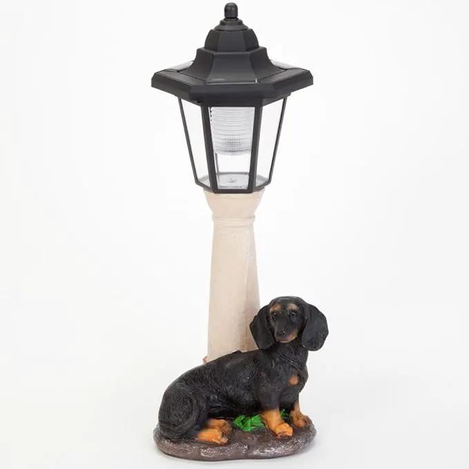 Bits and Pieces - Solar Dog Lantern-Solar Powered Garden Lantern - Resin Dog Sculpture with LED Light (Dachshund) by GreenHaven Gardens