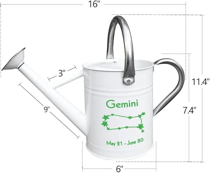 Metal Watering Can for Outdoor and Indoor Plants, Watering Can Decor, 1 Gallon (Gemini) by GreenHaven Gardens