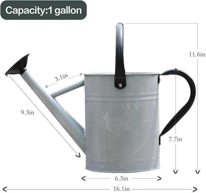 Metal Watering Can, One Gallon Watering Cans Stainless Steel for Outdoor Indoor Garden Plants Watering (Silver 1 Gallon) by GreenHaven Gardens
