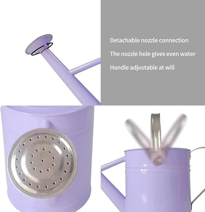 Metal Watering Can for Outdoor and Indoor Plants, Watering Can Decor, 1 Gallon (Purple) by GreenHaven Gardens