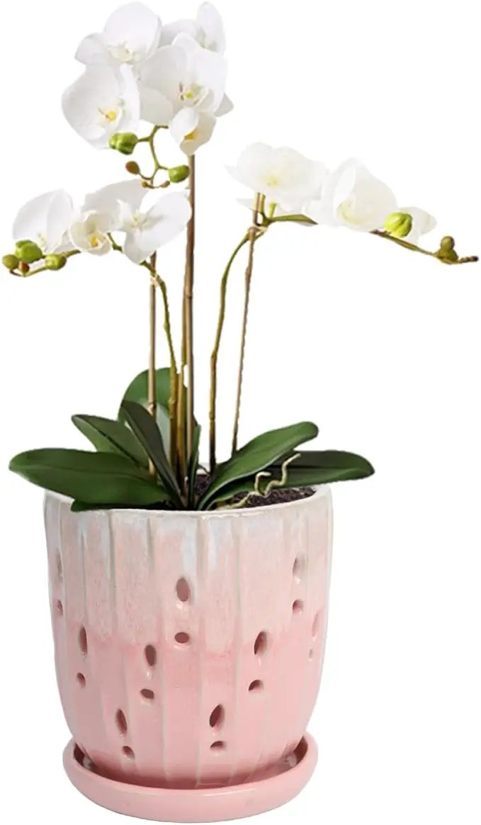 vensovo 6 Inch Ceramic Orchid Pot - Orchid Pot with Holes for Repotting, Ceramic Planter with Saucer for Indoor/Outdoor Plants, Pink by GreenHaven Gardens