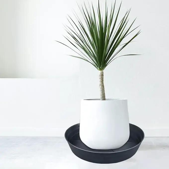 20 Inch Extra Large Plant Saucers, Extra-Deep 3.7 in Black Drip Trays for Flower Pot, Heavy Duty Drainage Tray Indoors No Holes, 2 Pack Plastic Planter Plate Water Catcher for Pots Base 16 17 18 in by GreenHaven Gardens
