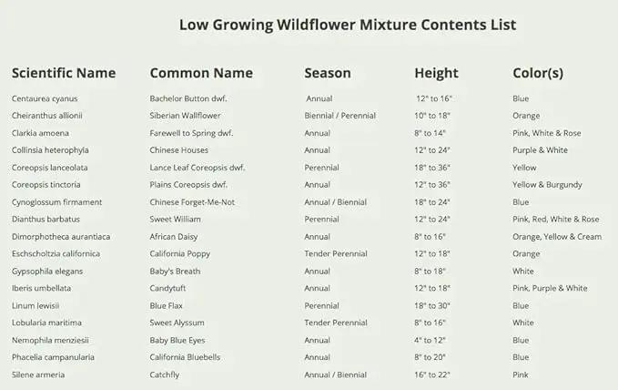 Seed Needs Low Growing Wildflower Flower Seeds for Planting | 10 Packs (1 Ounce Each) Mixture/Blend 17 Varieties | Resealable Package Multicolored Blooms Open Pollinated Mixed Species | Bulk by GreenHaven Gardens