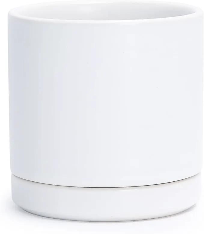 D'vine Dev 3.5 Inch Ceramic Planter Pot with Drainage Hole and Saucer, Indoor Cylinder Round Planter Pot, White, 94-O-A-1 by GreenHaven Gardens