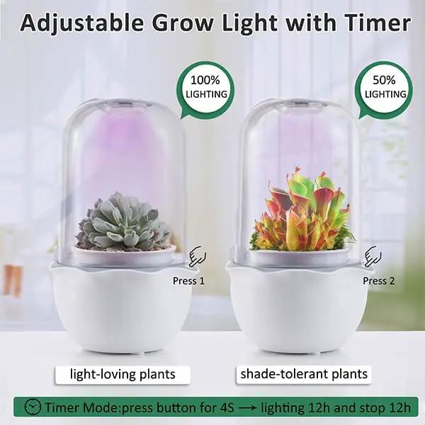 Smart Venus Fly Trap Terrarium Pot with Timer&Fan,Succulent Planter with Grow Light,Indoor Plant Pots Terrarium with Drainage Hole for Carnivorous Plants,Sundew Moss,Cactus(No Plant) by GreenHaven Gardens
