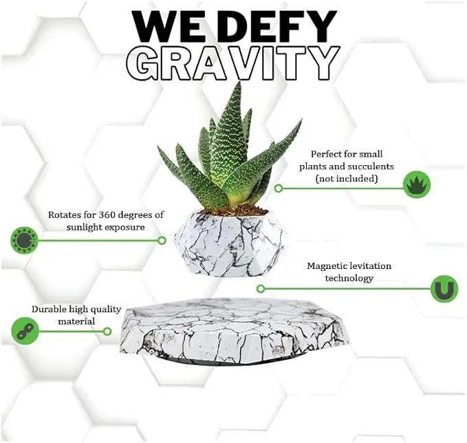 BandD Plant Pot for Succulents, air Bonsai & air Plants. Planter for Home, Office & Desk Decor. Magnetic Floating Levitating Display. (Marble) by GreenHaven Gardens