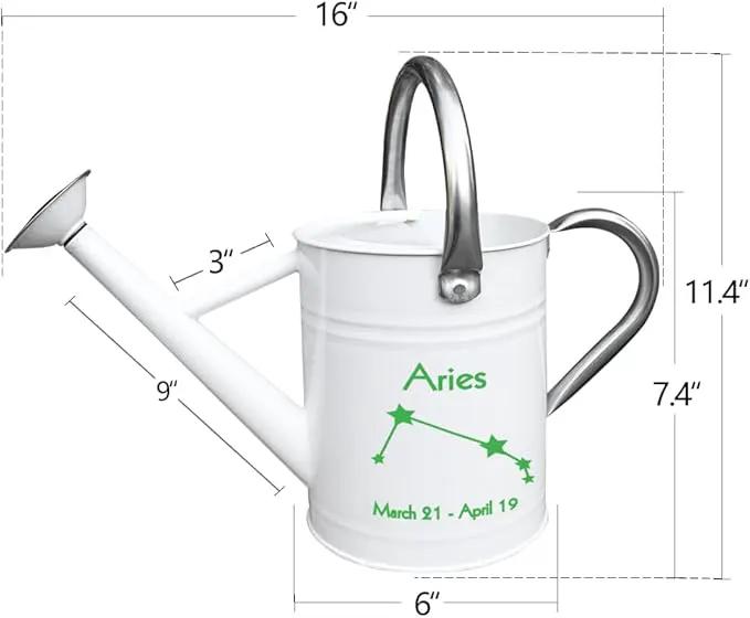 Metal Watering Can for Outdoor and Indoor Plants, Watering Can Decor, 1 Gallon (Aries) by GreenHaven Gardens