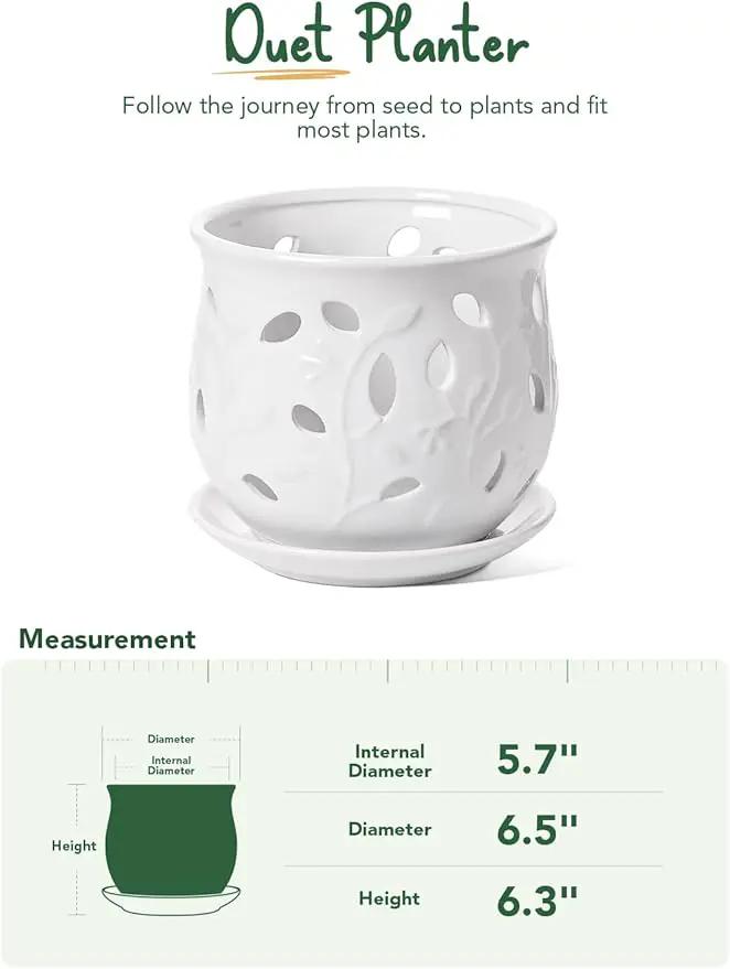 LE TAUCI Ceramic Orchid Pot, 6.5 Inch Orchid Pots with Holes, Orchid Planter for Repotting, Indoor Flower Plant Pot with Drainage and Saucer, White by GreenHaven Gardens