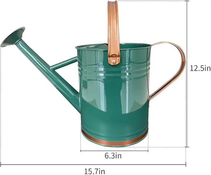 Metal Watering Can for Outdoor and Indoor Plants, Watering Can Decor, 1 Gallon (1 Gallon Green2) by GreenHaven Gardens