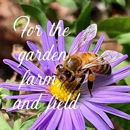 Pacific Northwest Wildflower Seeds - 1 Lb ~640,000 + Non-GMO Seed - 25 Varieties Including Poppy, Larkspur, Daisy & More - Pollinator Mix for Planting Outdoors by GreenHaven Gardens