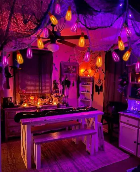 10Ft LED Outdoor String Lights, Halloween Orange Purple Lights with 10 0.6W ST40 LED Bulbs, Waterproof Connectable Patio Lights for Indoor Outdoor Backyard Garden Halloween Christmas Holiday Decor by GreenHaven Gardens