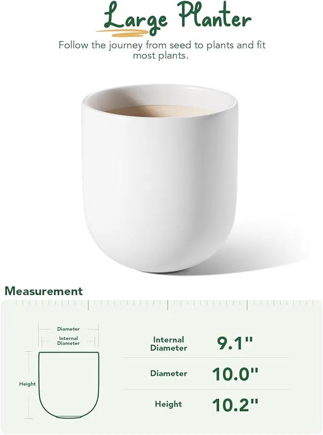 LE TAUCI 10 Inch Plant Pot, Ceramic Pots for Plants with Drainage Hole and Rubber Plug, Plant Pots Indoor for Olive Tree, Cylinder Planter Pot for Home Patio Office, White by GreenHaven Gardens