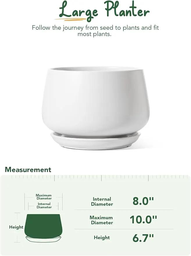 LE TAUCI Ceramic Planters, 10 Inch Pots for Plants, Indoor Plant Pots with Drainage Holes and Saucers, Modern Planters Fit Mid Century Plant Stand, Flower Pots for Indoor Plants, White by GreenHaven Gardens