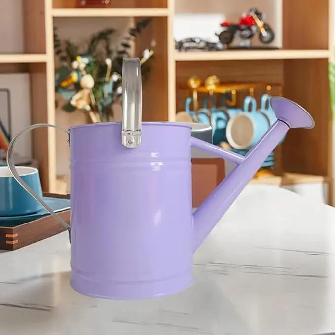 Metal Watering Can for Outdoor and Indoor Plants, Watering Can Decor, 1 Gallon (Purple) by GreenHaven Gardens