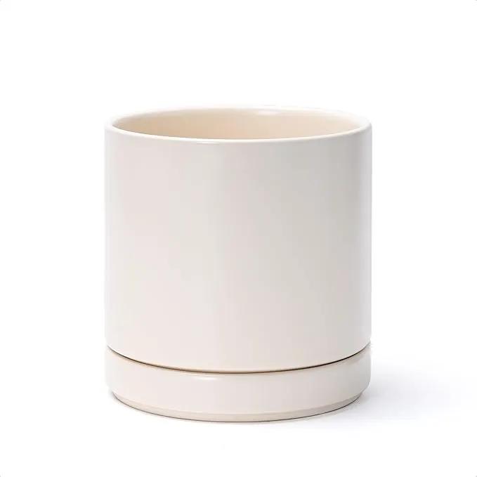 D'vine Dev 6 Inch Ceramic Planter Pot with Drainage Hole and Saucer, Indoor Cylinder Round Planter Pot, Oatmeal, 94-O-C-8 by GreenHaven Gardens