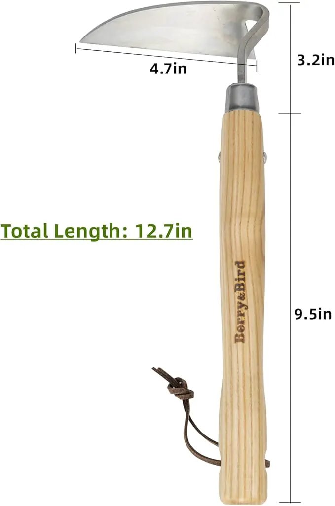 Berry&Bird Japanese Weeder-Scraper-Hoe, 12.67-Inch Gardening Sickle Hoe, Stainless Steel Bent Angle Weeding Sickle, Weeder Hoe with Ergonomic Ash Wood Handle for Weeding, Soil loosening, Digging by GreenHaven Gardens
