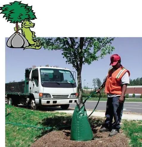 Treegator Original 20 Gal Slow Release Watering Bags for Trees 3-PACK by Tree Gator by GreenHaven Gardens