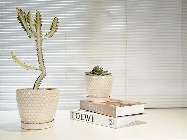 Docrin Ceramic Plant Pots Indoor: 6.6 + 5.5 Inch Planters with Drainage Holes and Saucer for Home/Office - Set of 2 /Milky White Honeycomb by GreenHaven Gardens