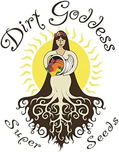 Dirt Goddess Super Seeds~ All Perennial Wildflower Seed Mix (1 LB) 375,000 Seeds by GreenHaven Gardens
