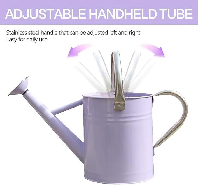 Metal Watering Can, One Gallon Watering Cans Stainless Steel for Outdoor Indoor Garden Plants Watering (Stainless Steel Handle Purple) by GreenHaven Gardens