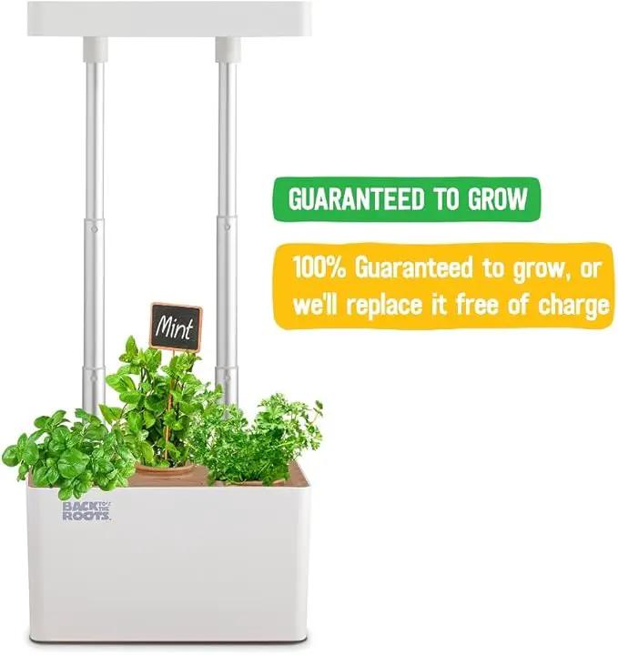Back to the Roots Hydroponic Grow Kit, Indoor Garden with Light (Matte White), Organic Seeds Included, Gardening Gift, Everything Included by GreenHaven Gardens