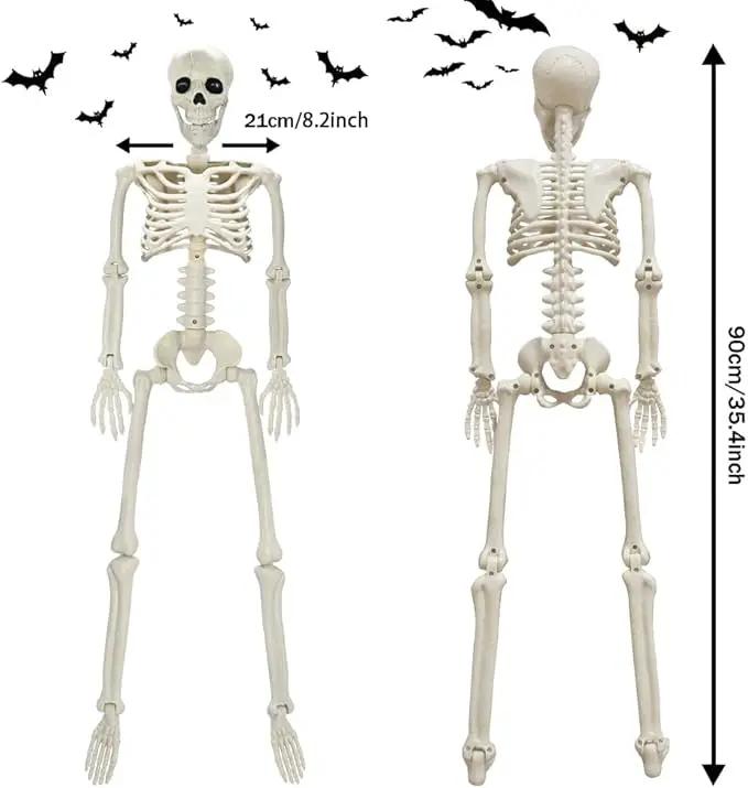 CAMIRUS 2PACK Plastic Posable Halloween Skeleton Decorations, 3FT Poseable Skeleton Full Body with Movable Joints for Halloween Indoor/Outdoor Haunted Houses, Lawn, Graveyard Decor by GreenHaven Gardens