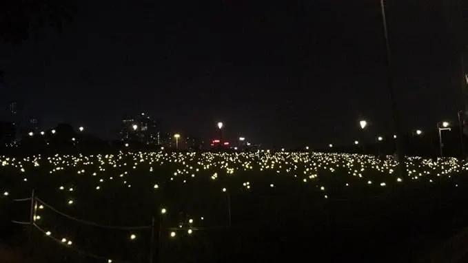 Firefly Garden Lights Solar Outdoor - 80 LED Solar Firefly Lights Outdoor Waterproof, Yard Patio Decoration Solar Powered Firefly Lights, Warm White 10PCS by GreenHaven Gardens